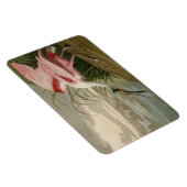 Magnet Flexible Roseate Spoonbill from Audubon's Birds of America (Côté Droit)