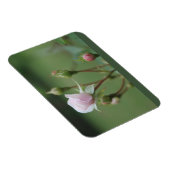 Magnet Flexible Rosebustes (Côté Droit)