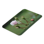 Magnet Flexible Rosebustes (Côté Gauche)