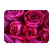 Magnet Flexible Roses (Horizontal)