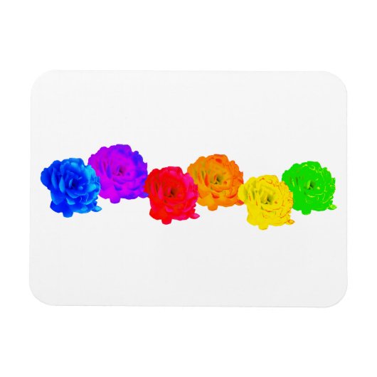 Magnet Flexible Roses arc-en-ciel (Horizontal)