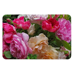 Magnet Flexible Roses démodés