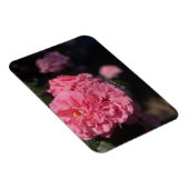 Magnet Flexible Roses roses (Côté Droit)