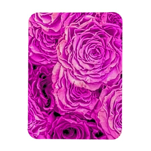 Magnet Flexible Roses roses vives (Vertical)