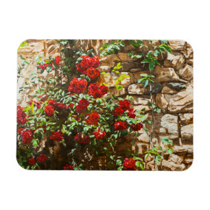 Magnet Flexible Roses rouges contre un mur de pierre