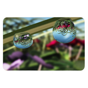 Magnet Flexible Roses sur Raindrops Aimant flexible