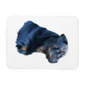 Magnet Flexible Rottweiler (Horizontal)