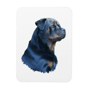 Magnet Flexible Rottweiler