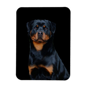 Magnet Flexible Rottweiler 