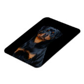 Magnet Flexible Rottweiler (Côté Gauche)
