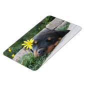 Magnet Flexible Rottweiler (Côté Gauche)