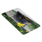 Magnet Flexible Rottweiler (Côté Droit)