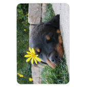 Magnet Flexible Rottweiler (Vertical)