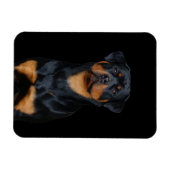 Magnet Flexible Rottweiler (Horizontal)