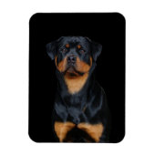 Magnet Flexible Rottweiler (Vertical)