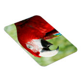 Magnet Flexible Rouge brillant (Côté Droit)