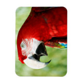 Magnet Flexible Rouge brillant (Vertical)