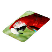 Magnet Flexible Rouge brillant (Côté Gauche)
