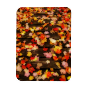 Magnet Flexible Rouge clair Jaune d'automne Maple Feuilles