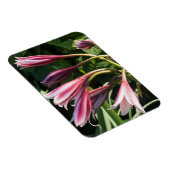 Magnet Flexible Rouge Crinum Lily (Côté Droit)