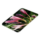 Magnet Flexible Rouge Crinum Lily (Côté Gauche)