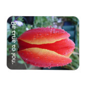 Magnet Flexible Rouges Tulip et Raindrops floral Soyez fidèle à vo (Horizontal)