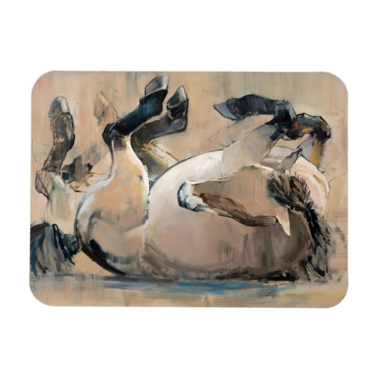 Magnet Flexible Rouler (Horizontal)