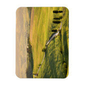 Magnet Flexible Route blanche en Toscane rectangle magnétique du p (Vertical)