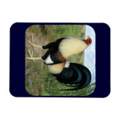 Magnet Flexible Route Pays Gamecock (Horizontal)