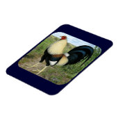 Magnet Flexible Route Pays Gamecock (Côté Gauche)