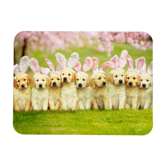 Magnet Flexible Row of Puppy Bunnies (Horizontal)