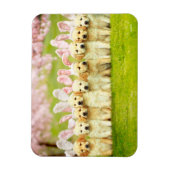 Magnet Flexible Row of Puppy Bunnies (Vertical)