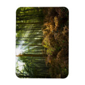 Magnet Flexible Royaume-Uni, Angleterre. Rayons de soleil traversa (Vertical)