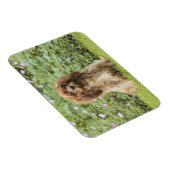 Magnet Flexible Ruby Cavalier King Charles Spaniel dans l'herbe (Côté Droit)