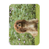 Magnet Flexible Ruby Cavalier King Charles Spaniel dans l'herbe (Vertical)