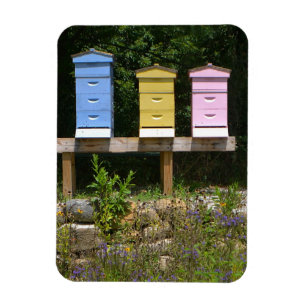 Magnet Flexible ruche