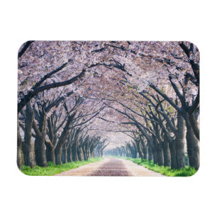 Magnet Flexible Ruelle de fleurs de cerisier