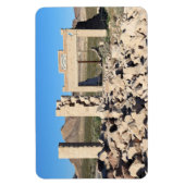 Magnet Flexible Ruines à Rhyolite Ghost Town, Nevada (Vertical)