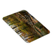 Magnet Flexible Ruisseau de Fall avec reflet au parc Laurel Hill (Côté Droit)