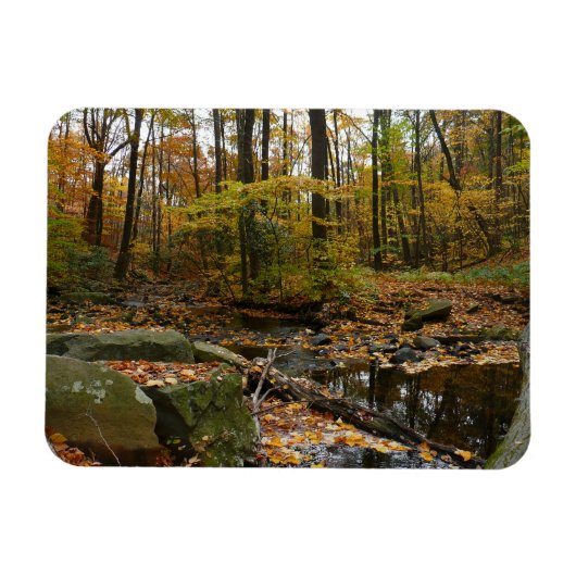 Magnet Flexible Ruisseau de Fall avec reflet au parc Laurel Hill (Horizontal)