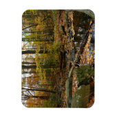 Magnet Flexible Ruisseau de Fall avec reflet au parc Laurel Hill (Vertical)