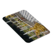 Magnet Flexible Russie, Saint-Pétersbourg, Peterhoff (alias (Côté Droit)