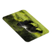 Magnet Flexible Rwanda, Parc national des volcans (Côté Droit)