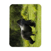 Magnet Flexible Rwanda, Parc national des volcans (Vertical)