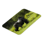 Magnet Flexible Rwanda, Parc national des volcans (Côté Gauche)