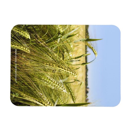 Magnet Flexible Rye (Horizontal)