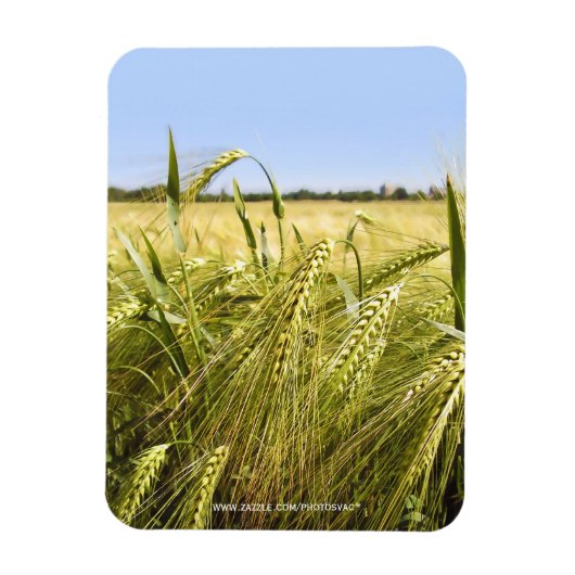 Magnet Flexible Rye (Vertical)