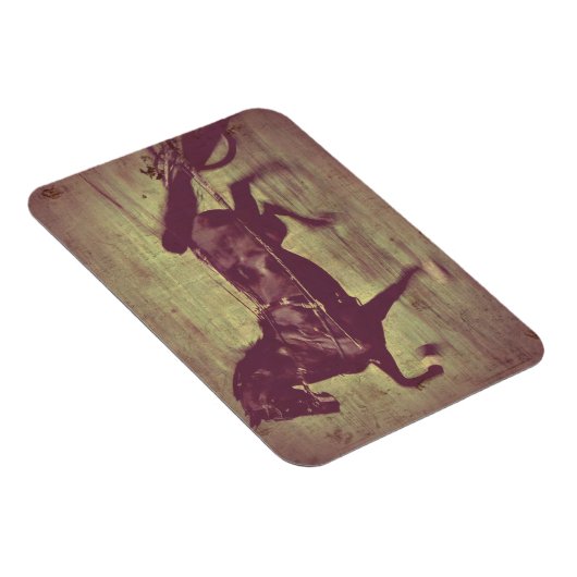 Magnet Flexible Saddlebred Song (Côté Droit)