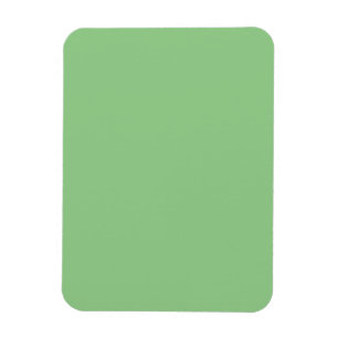Magnet Flexible Sage #93CC8A, Argile Ash