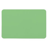 Magnet Flexible Sage, vert clair (dégradé de couleur), (Horizontal)